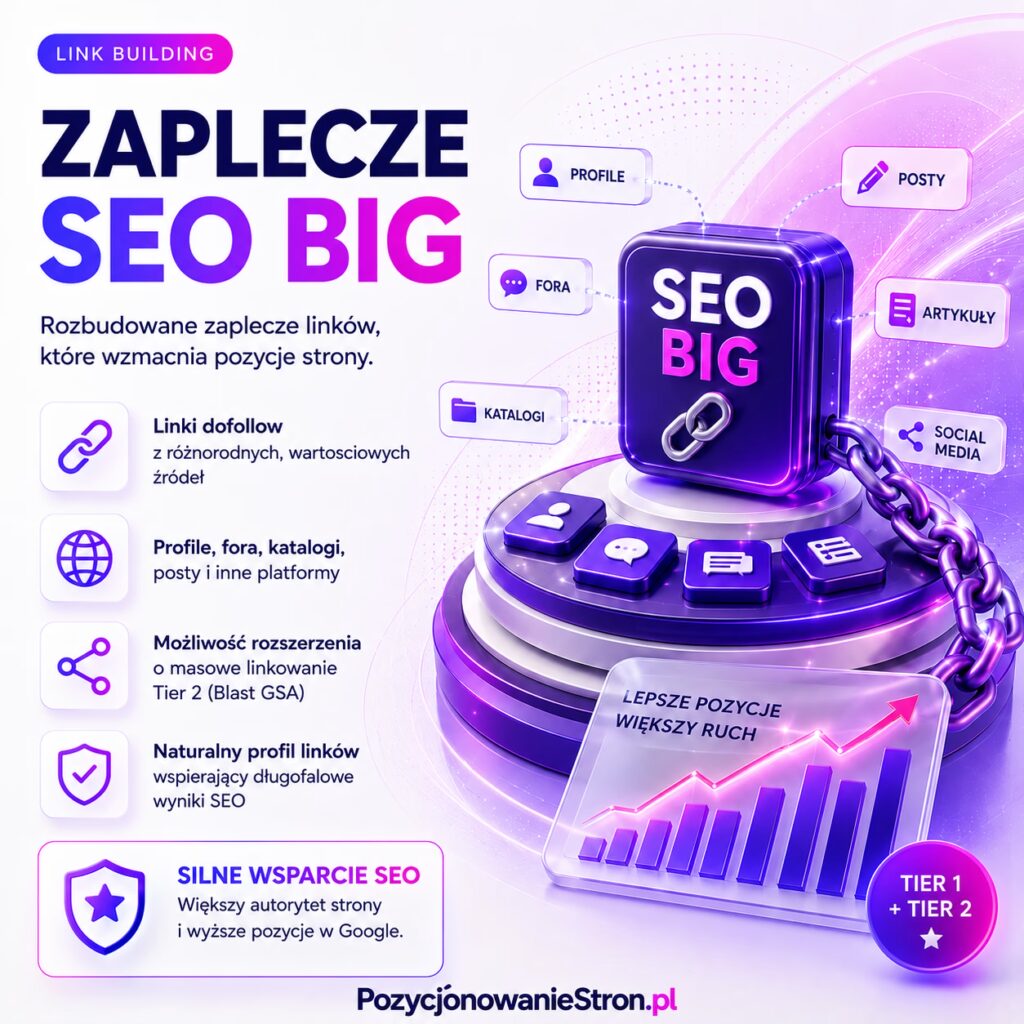 Zaplecze SEO BIG