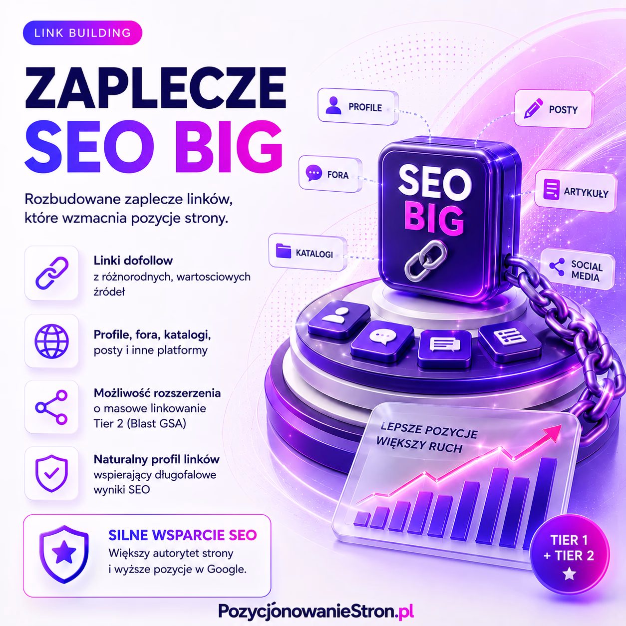 Zaplecze SEO BIG