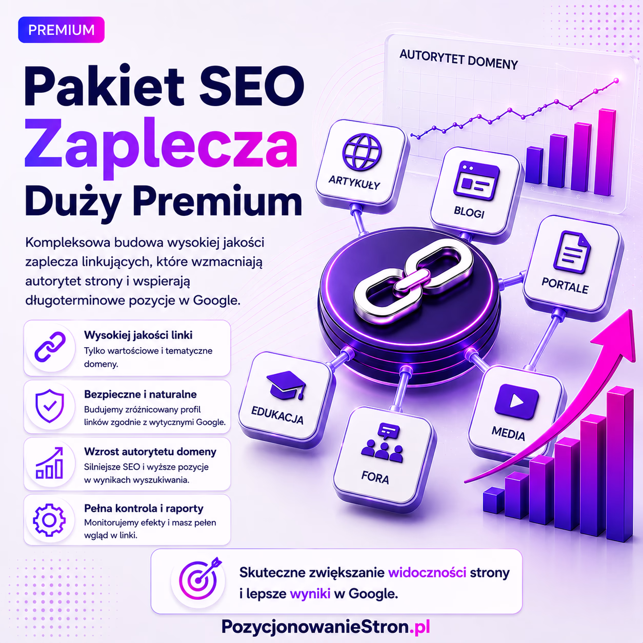 Pakiet SEO Zaplecza Duży Premium