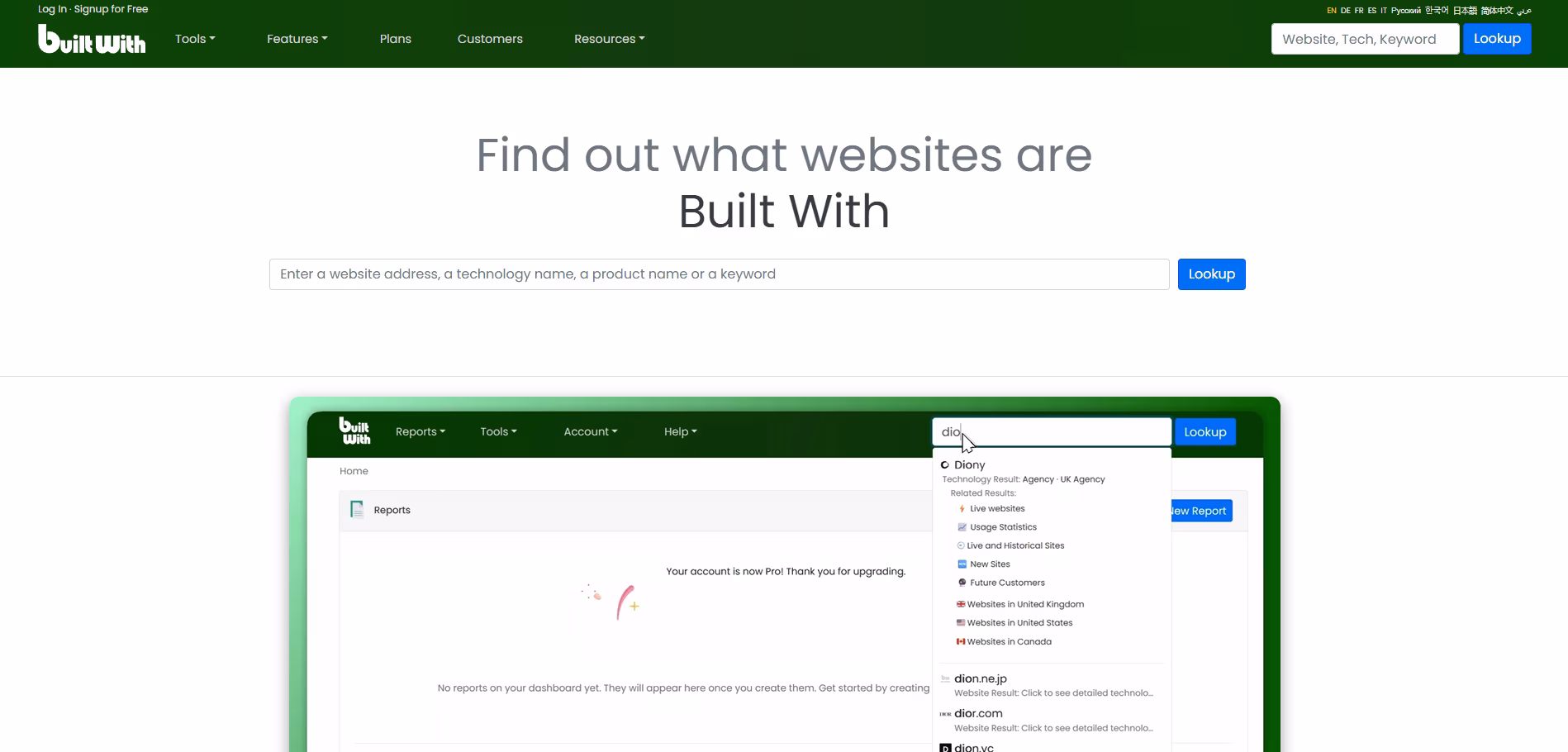 Build With - Pozycjonowanie stron Skarbimierz
