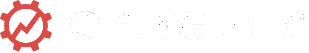 logo optygizer