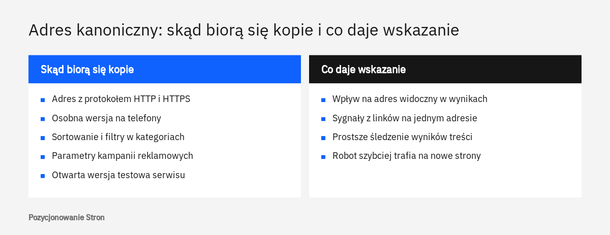 Zestawienie źródeł duplikatów adresów na stronie firmy oraz korzyści ze wskazania adresu kanonicznego