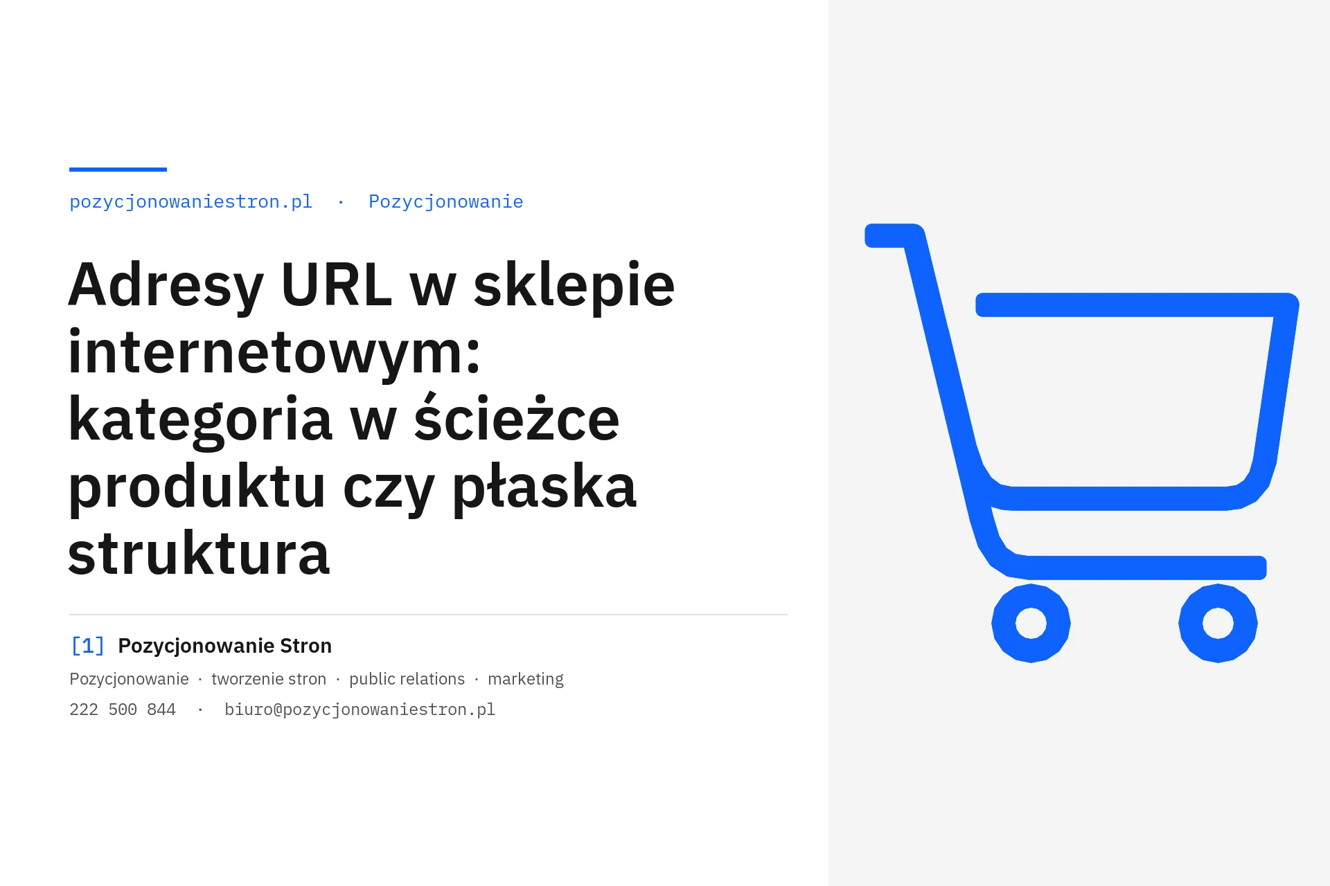 Adresy URL w sklepie internetowym: kategoria w ścieżce czy płasko - okładka wpisu na blogu Pozycjonowanie Stron