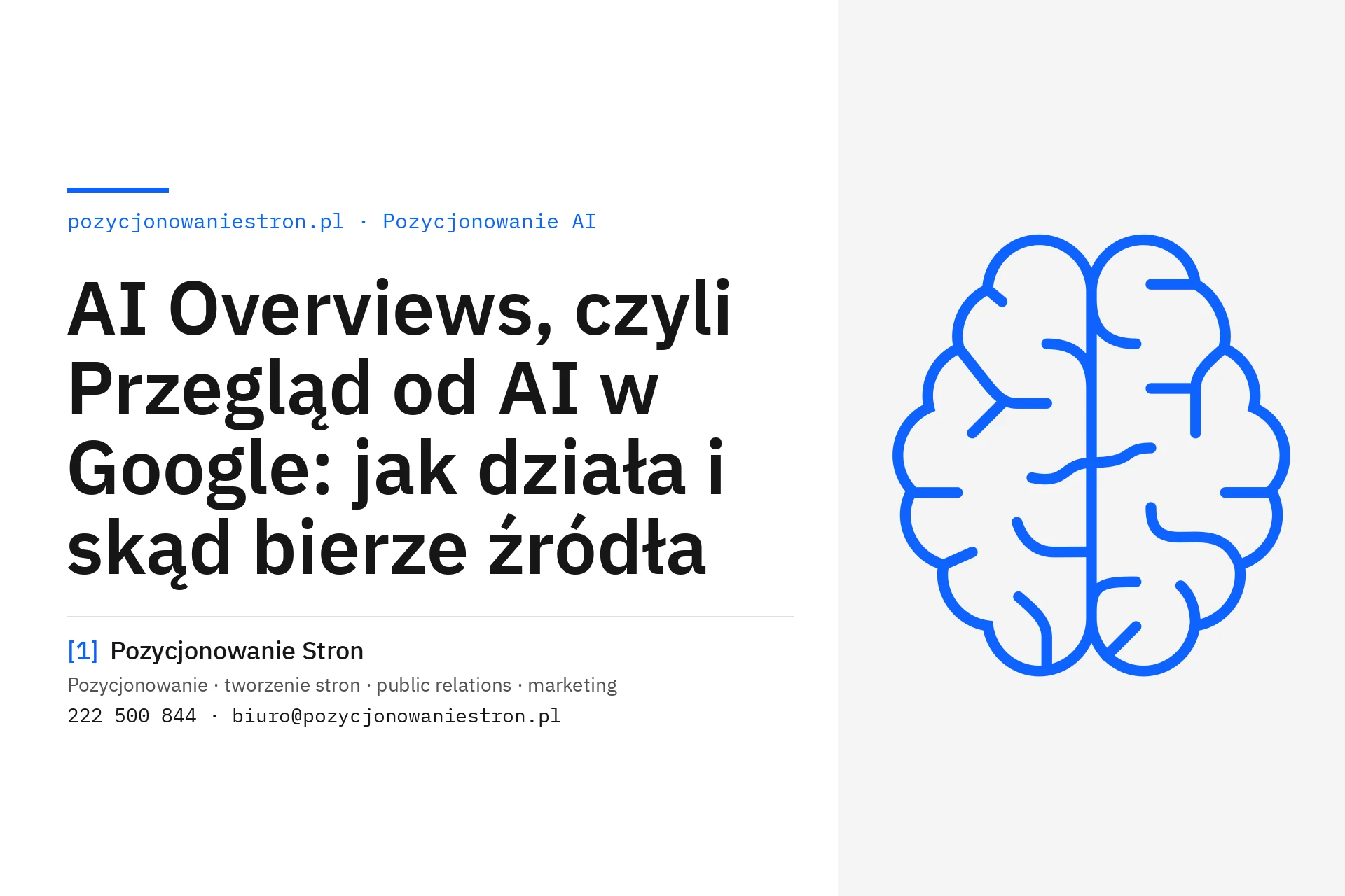 AI Overviews, czyli Przegląd od AI w Google: jak działa i skąd bierze źródła