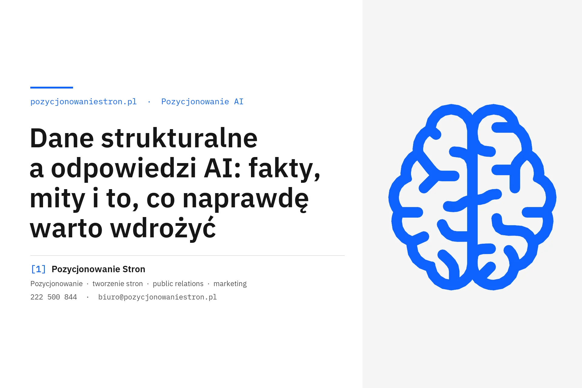 Dane strukturalne a odpowiedzi AI: fakty i mity - okładka wpisu na blogu Pozycjonowanie Stron