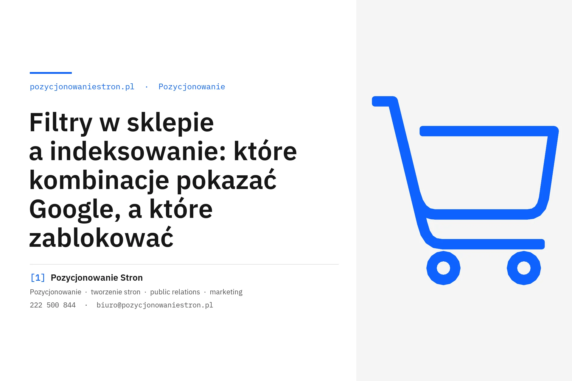 Filtry w sklepie a indeksowanie w Google - okładka wpisu na blogu Pozycjonowanie Stron