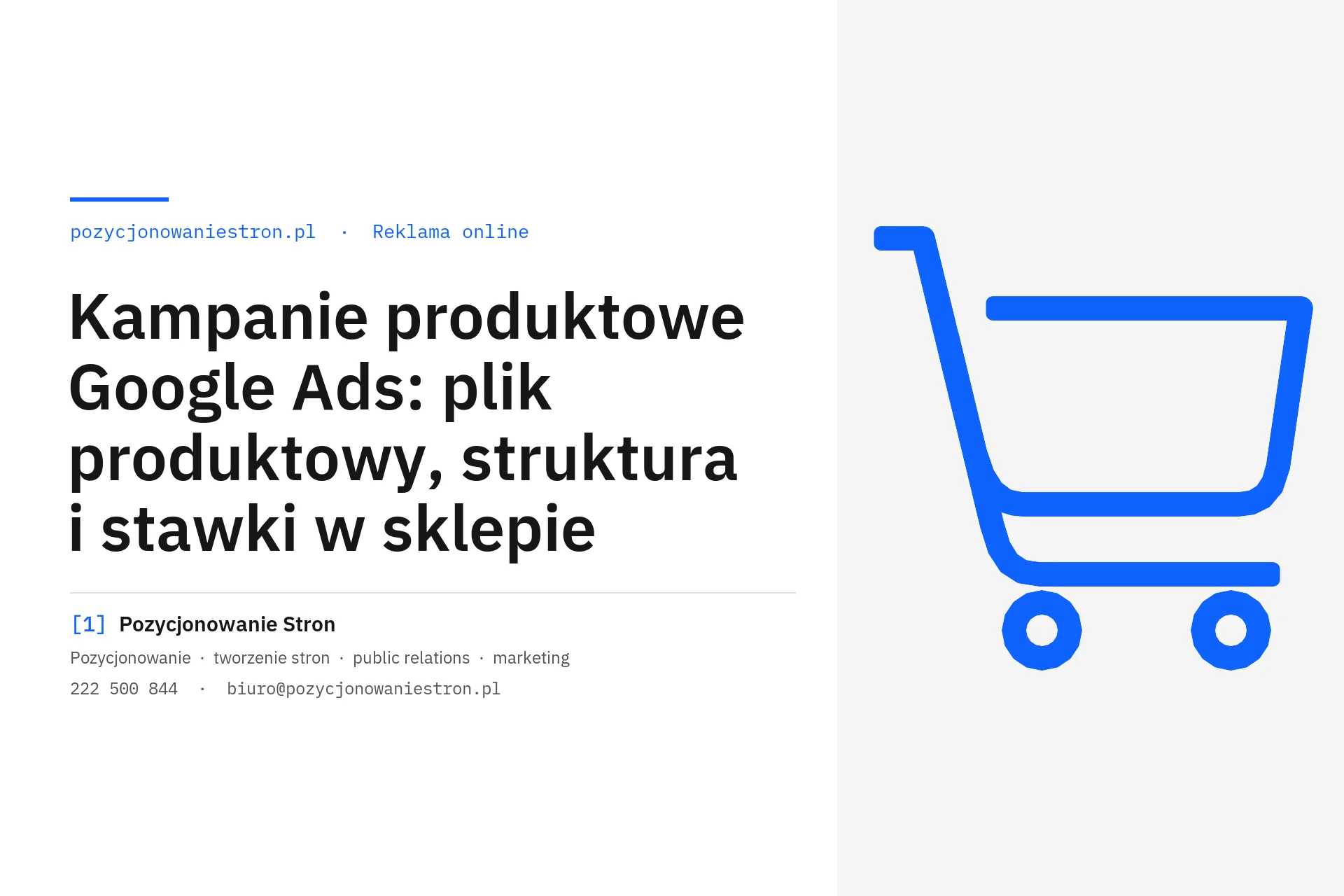 Kampanie produktowe Google Ads w sklepie internetowym - okładka wpisu na blogu Pozycjonowanie Stron