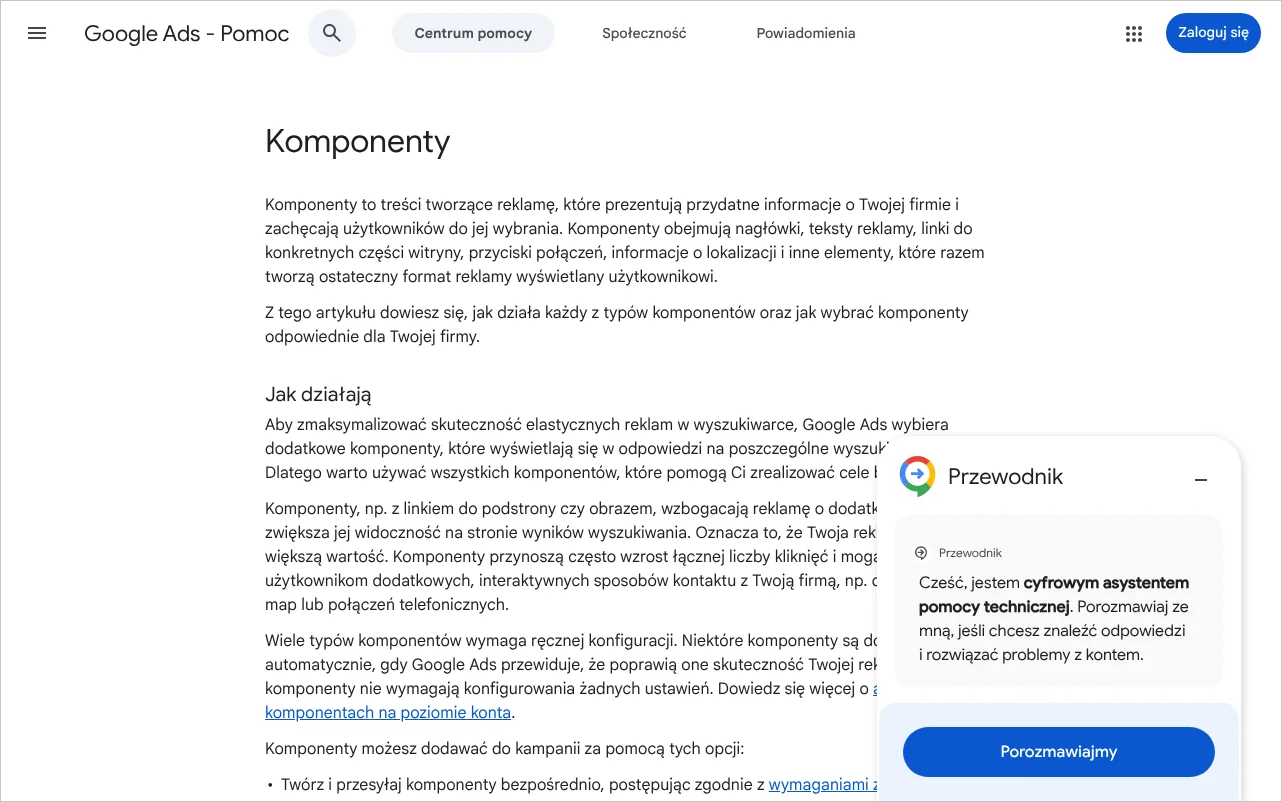 Strona pomocy Google Ads z omówieniem komponentów reklam, ich rodzajów i zasad wyświetlania
