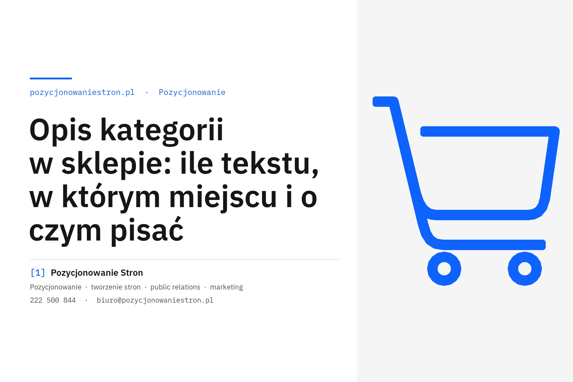 Opis kategorii w sklepie internetowym: miejsce, długość i treść - okładka wpisu na blogu Pozycjonowanie Stron