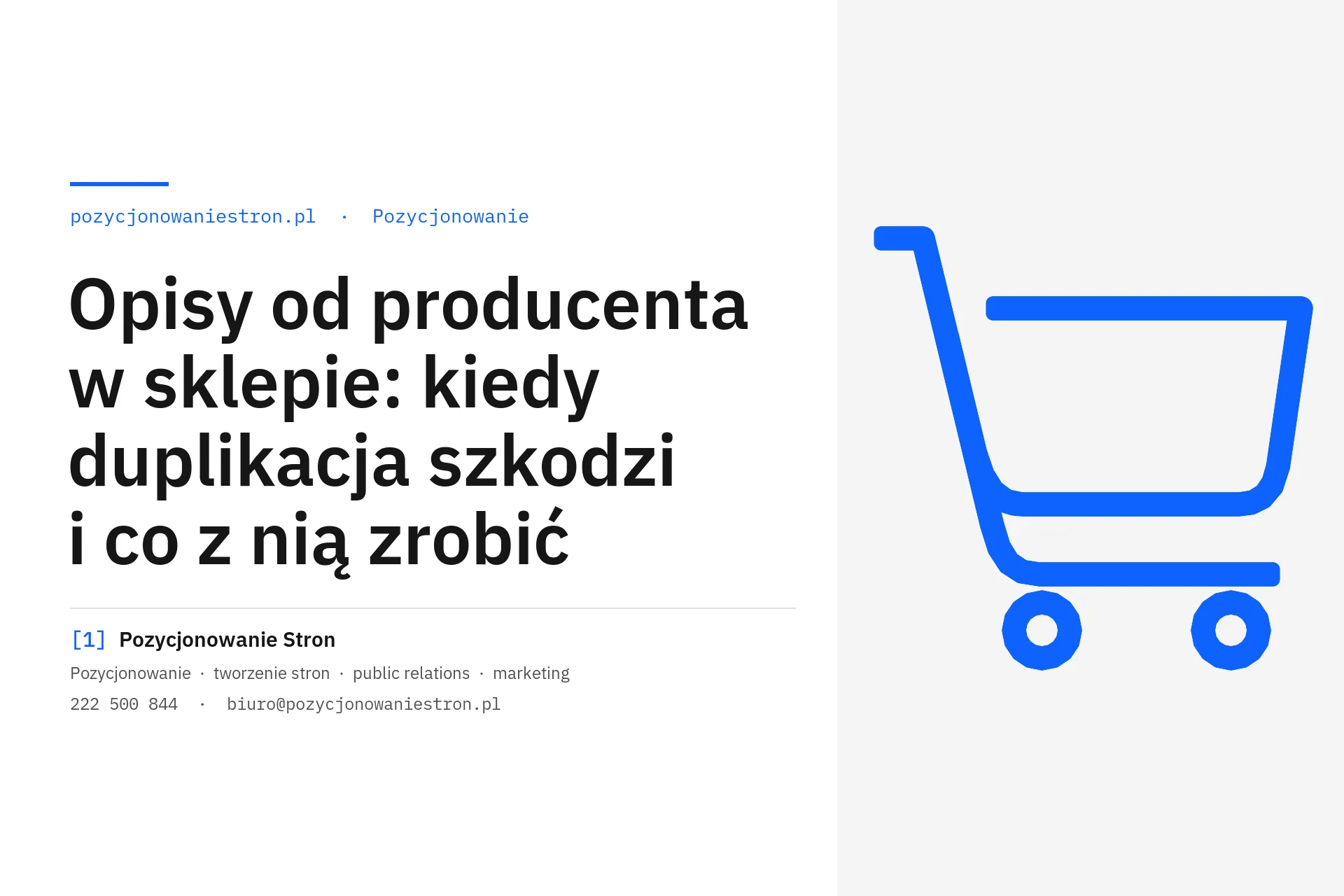 Opisy od producenta w sklepie a duplikacja treści - okładka wpisu na blogu Pozycjonowanie Stron