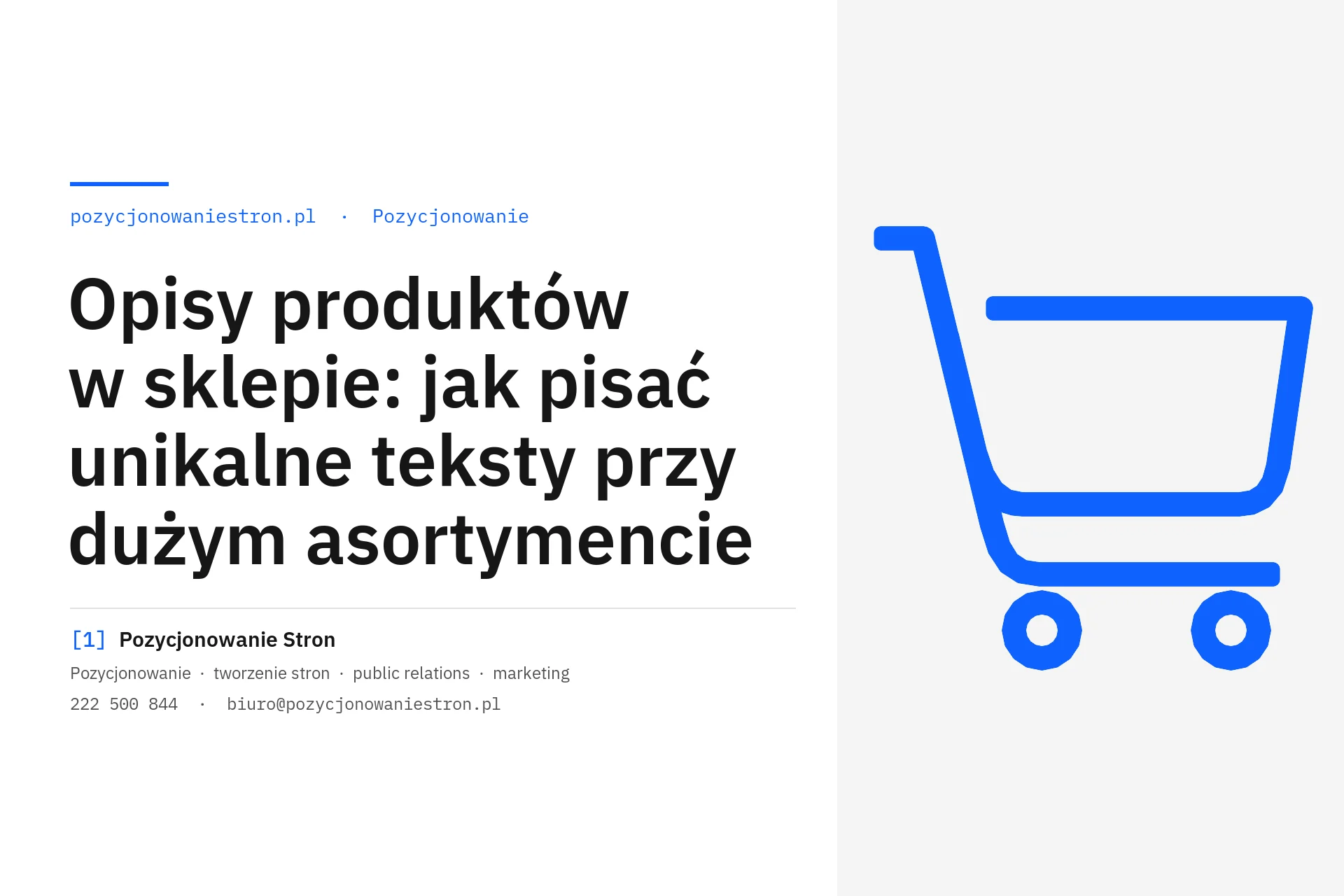 Opisy produktów w sklepie przy dużym asortymencie - okładka wpisu na blogu Pozycjonowanie Stron