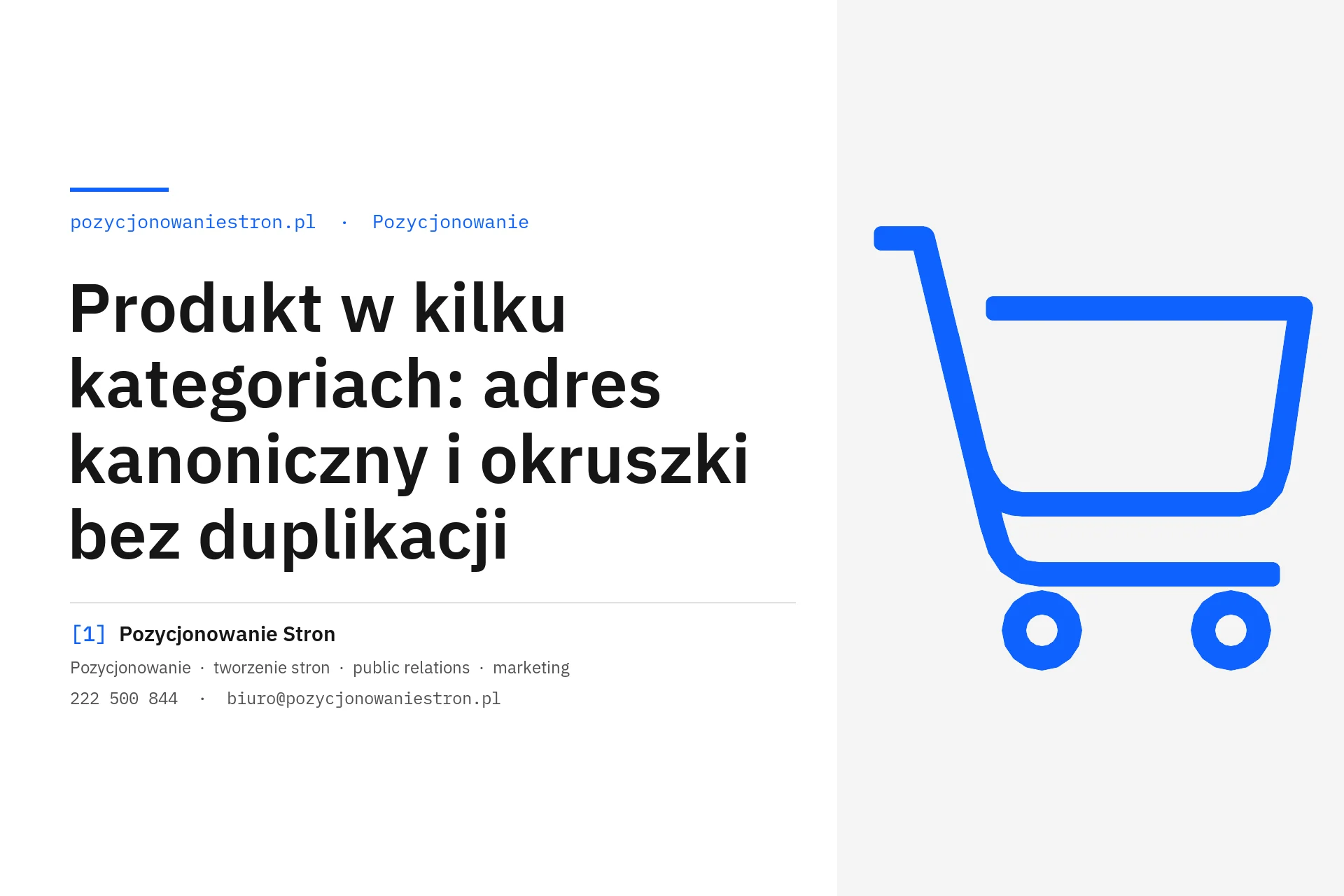 Produkt w kilku kategoriach i adres kanoniczny w sklepie - okładka wpisu na blogu Pozycjonowanie Stron