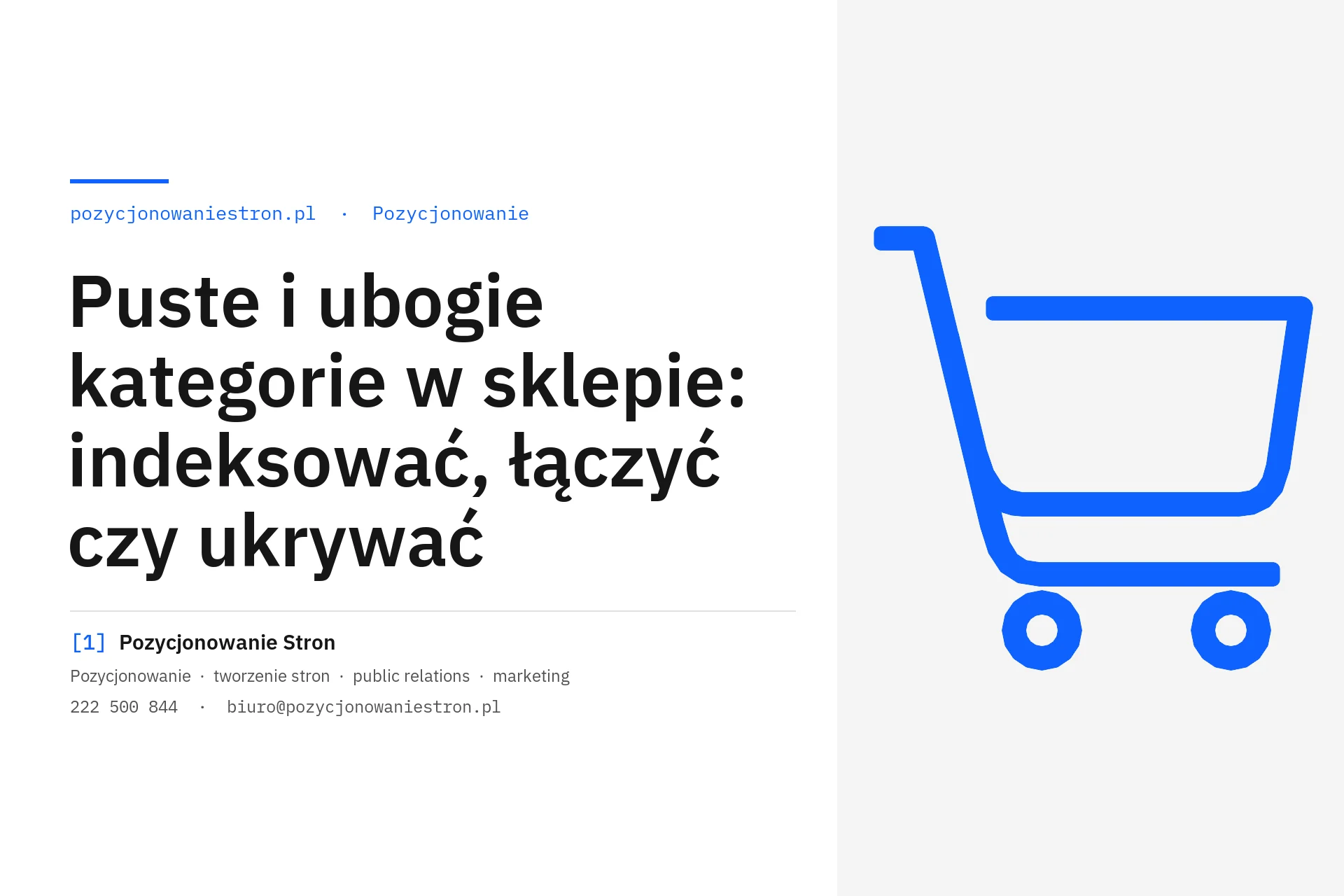 Puste i ubogie kategorie w sklepie internetowym - okładka wpisu na blogu Pozycjonowanie Stron