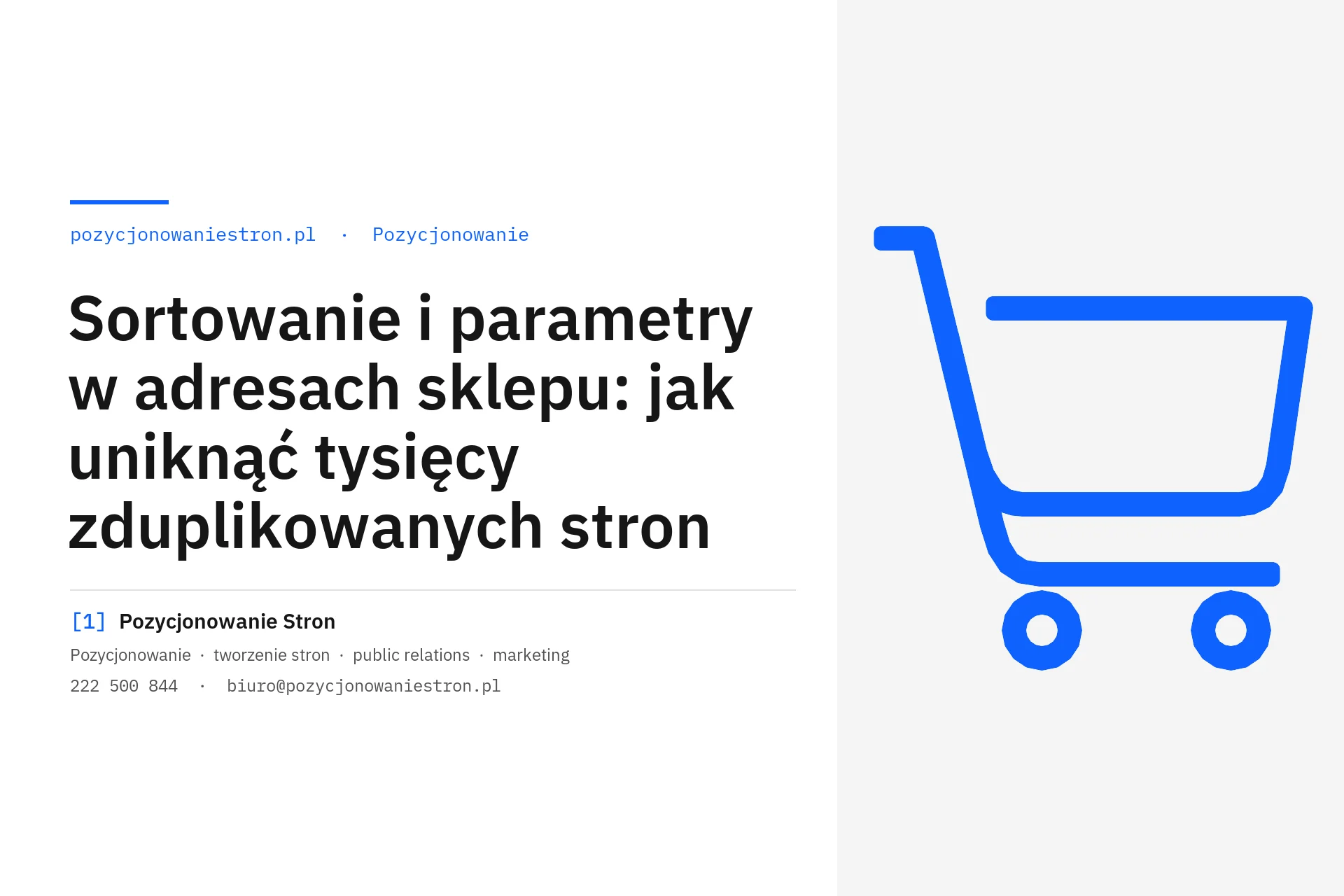 Sortowanie i parametry w adresach sklepu a zduplikowane strony - okładka wpisu na blogu Pozycjonowanie Stron