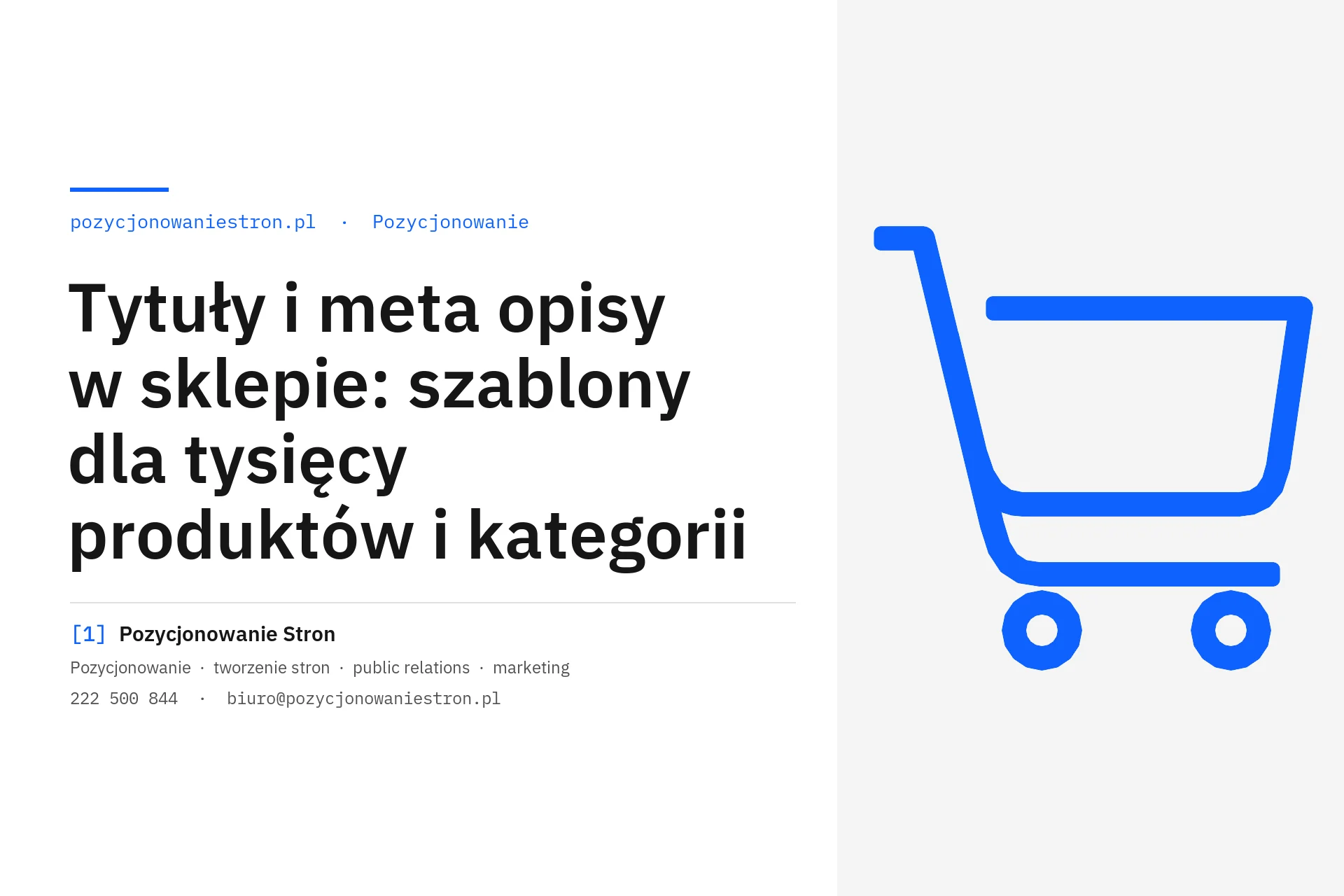 Szablony tytułów i meta opisów w sklepie internetowym - okładka wpisu na blogu Pozycjonowanie Stron