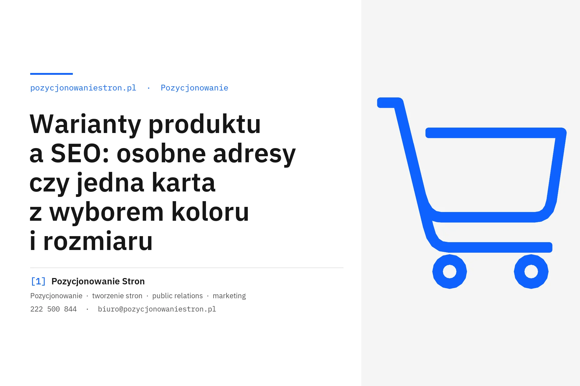 Warianty produktu a SEO: osobne adresy czy jedna karta - okładka wpisu na blogu Pozycjonowanie Stron