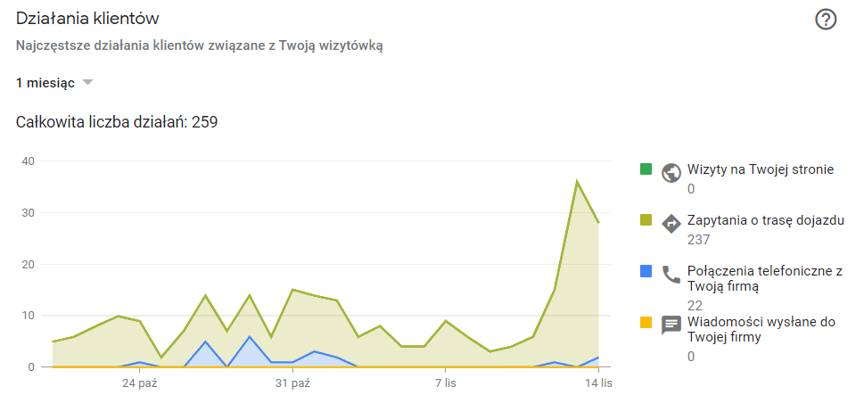 Panel Profilu Firmy w Google: działania gości na profilu willi z ostatnich 28 dni