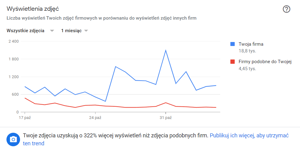 Panel Profilu Firmy w Google: wyświetlenia zdjęć profilu willi na tle podobnych obiektów
