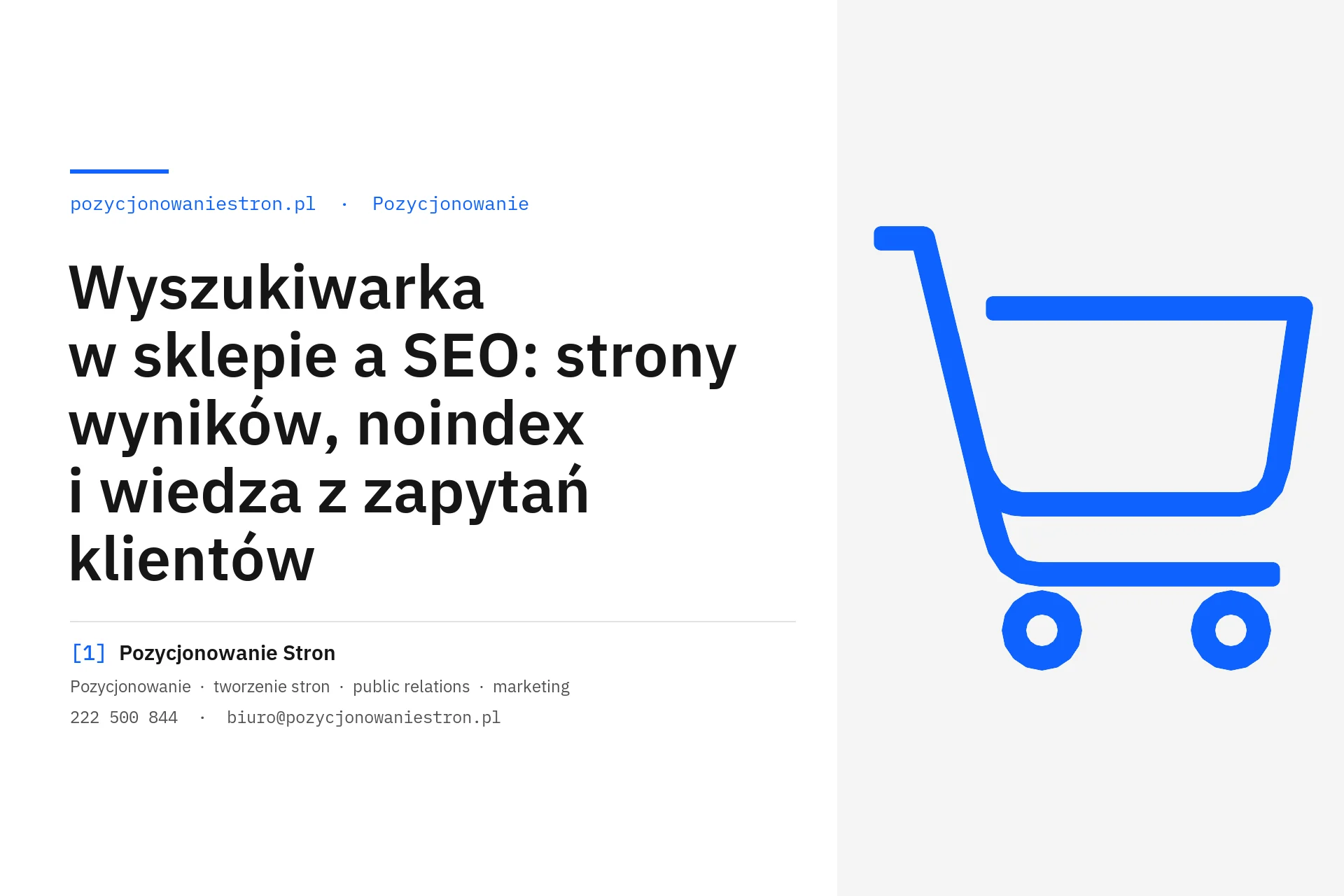 Wyszukiwarka w sklepie a SEO, strony wyników i noindex - okładka wpisu na blogu Pozycjonowanie Stron